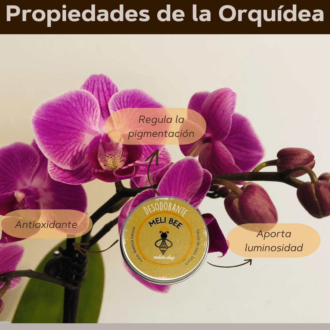 Desodorantes Naturales Artesanales - Meli Bee - Meli Bee Nature Shop
