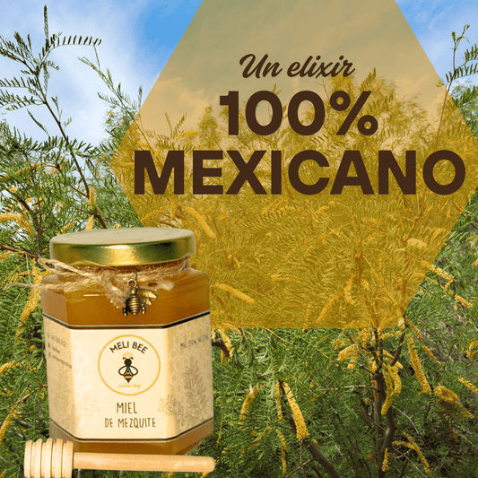 Miel de Abeja Pura Flor de Mezquite 250 mL - Meli Bee Nature Shop - Meli Bee Nature Shop