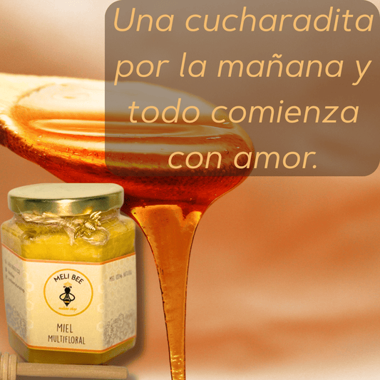 Miel de Abeja Pura Multifloral 250 mL - Meli Bee - Meli Bee Nature Shop