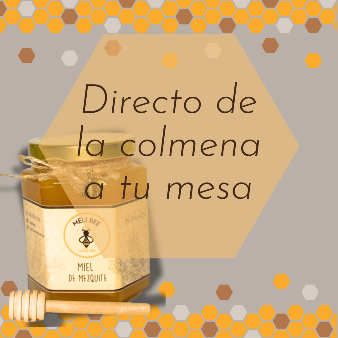 Miel de Abeja Pura Flor de Mezquite 250 mL - Meli Bee Nature Shop - Meli Bee Nature Shop