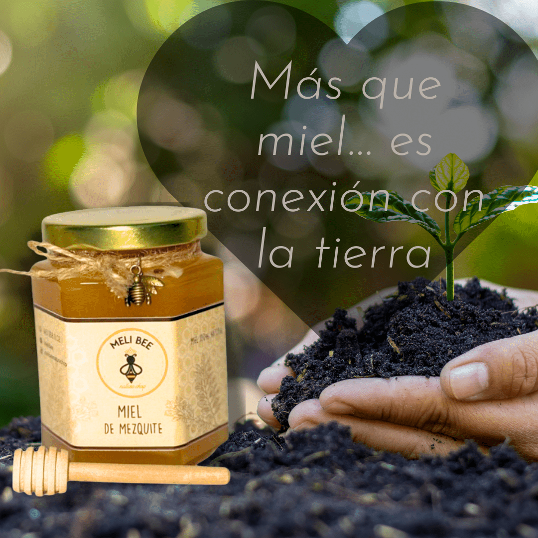 Miel de Abeja Pura Flor de Mezquite 250 mL - Meli Bee Nature Shop - Meli Bee Nature Shop