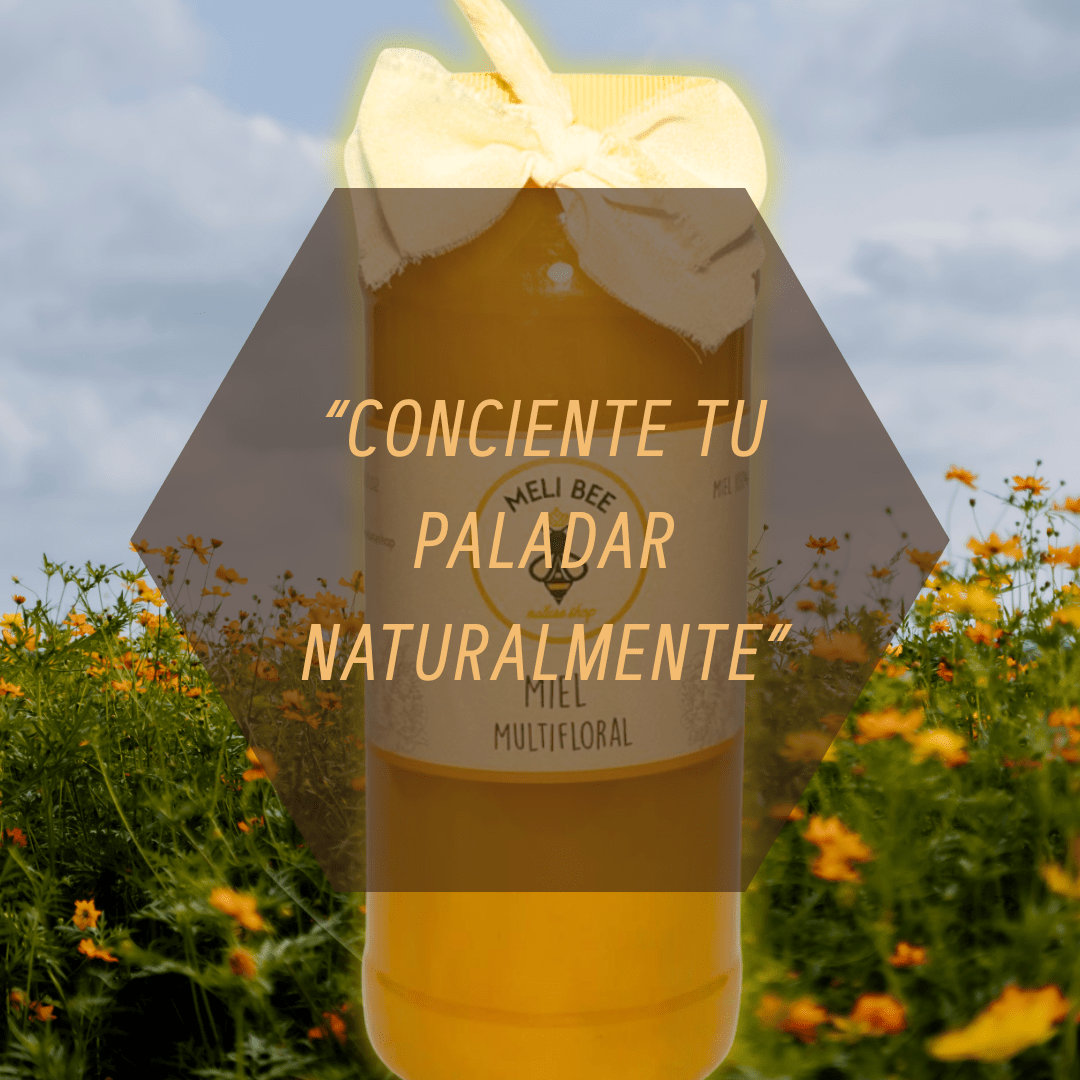 Miel de Abeja Pura Multifloral 1 Lt - Meli Bee - Meli Bee Nature Shop