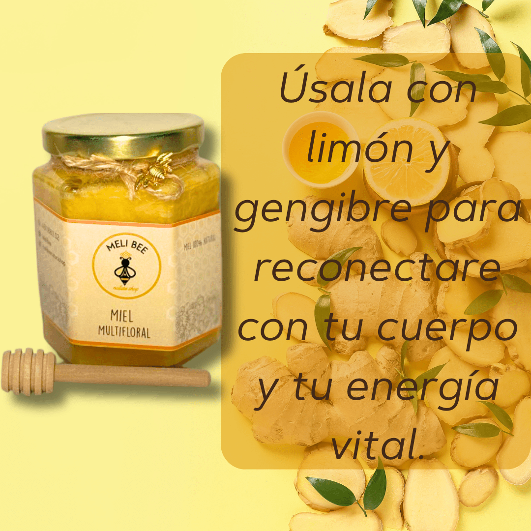 Miel de Abeja Pura Multifloral 250 mL - Meli Bee - Meli Bee Nature Shop