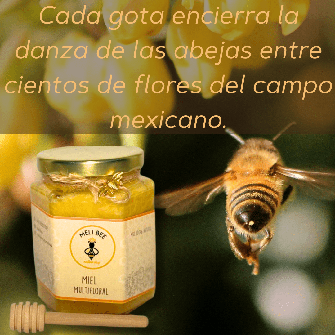Miel de Abeja Pura Multifloral 250 mL - Meli Bee - Meli Bee Nature Shop